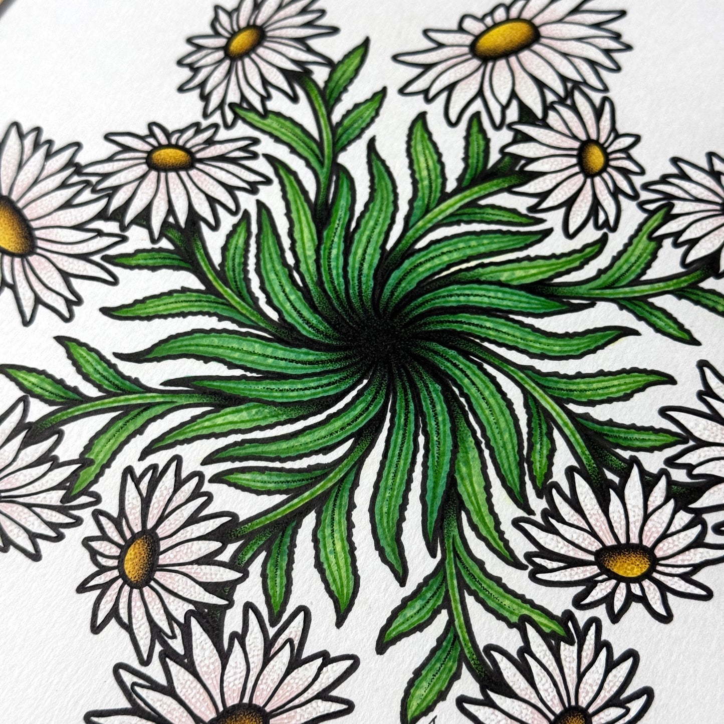 Shasta Daisy Mandala