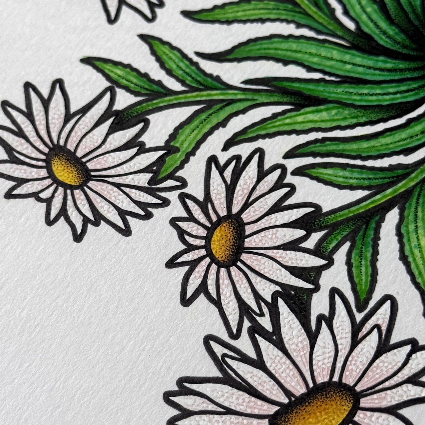 Shasta Daisy Mandala