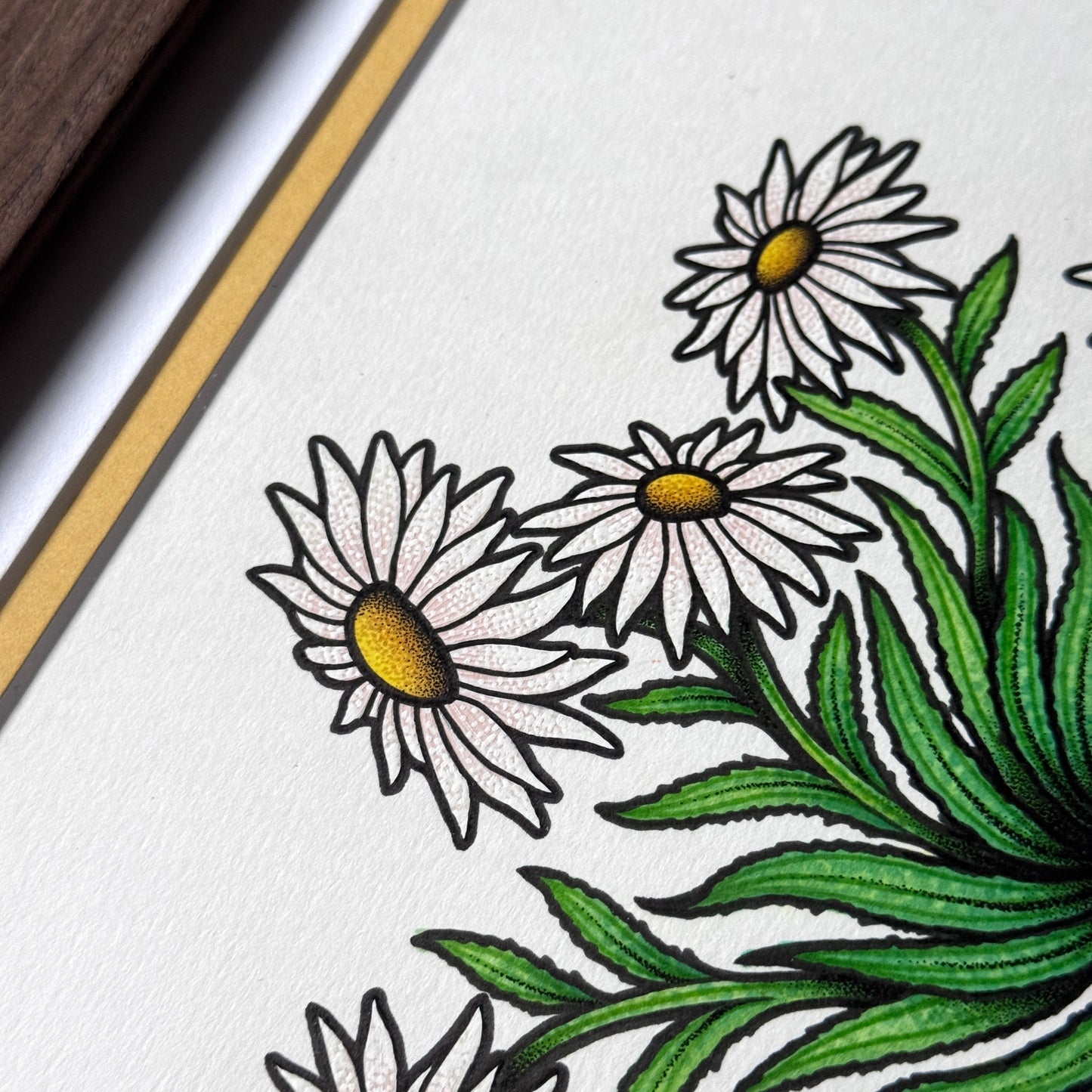 Shasta Daisy Mandala