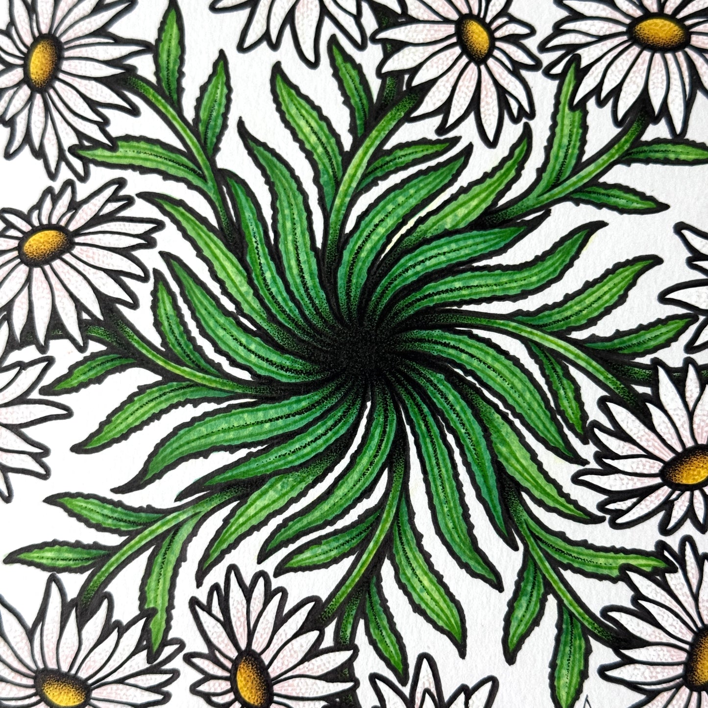 Shasta Daisy Mandala