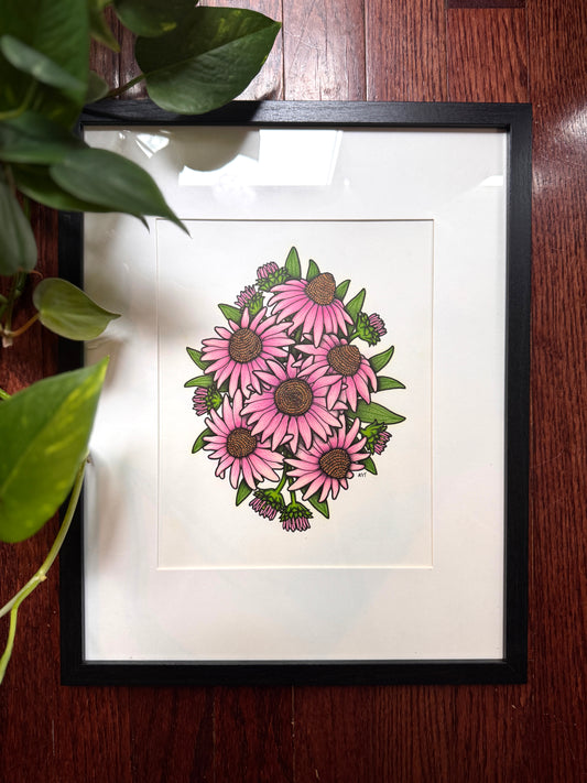 Coneflowers