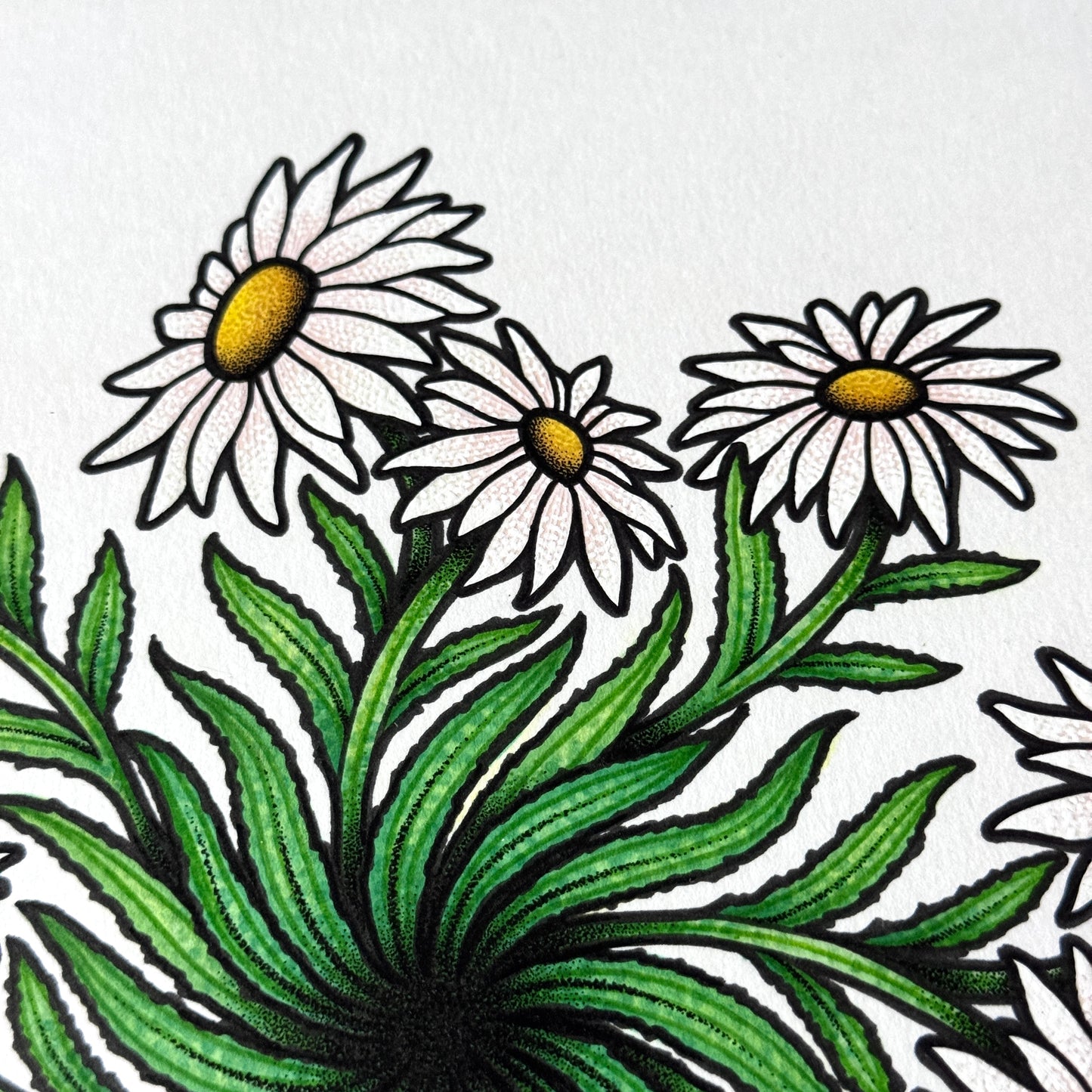 Shasta Daisy Mandala