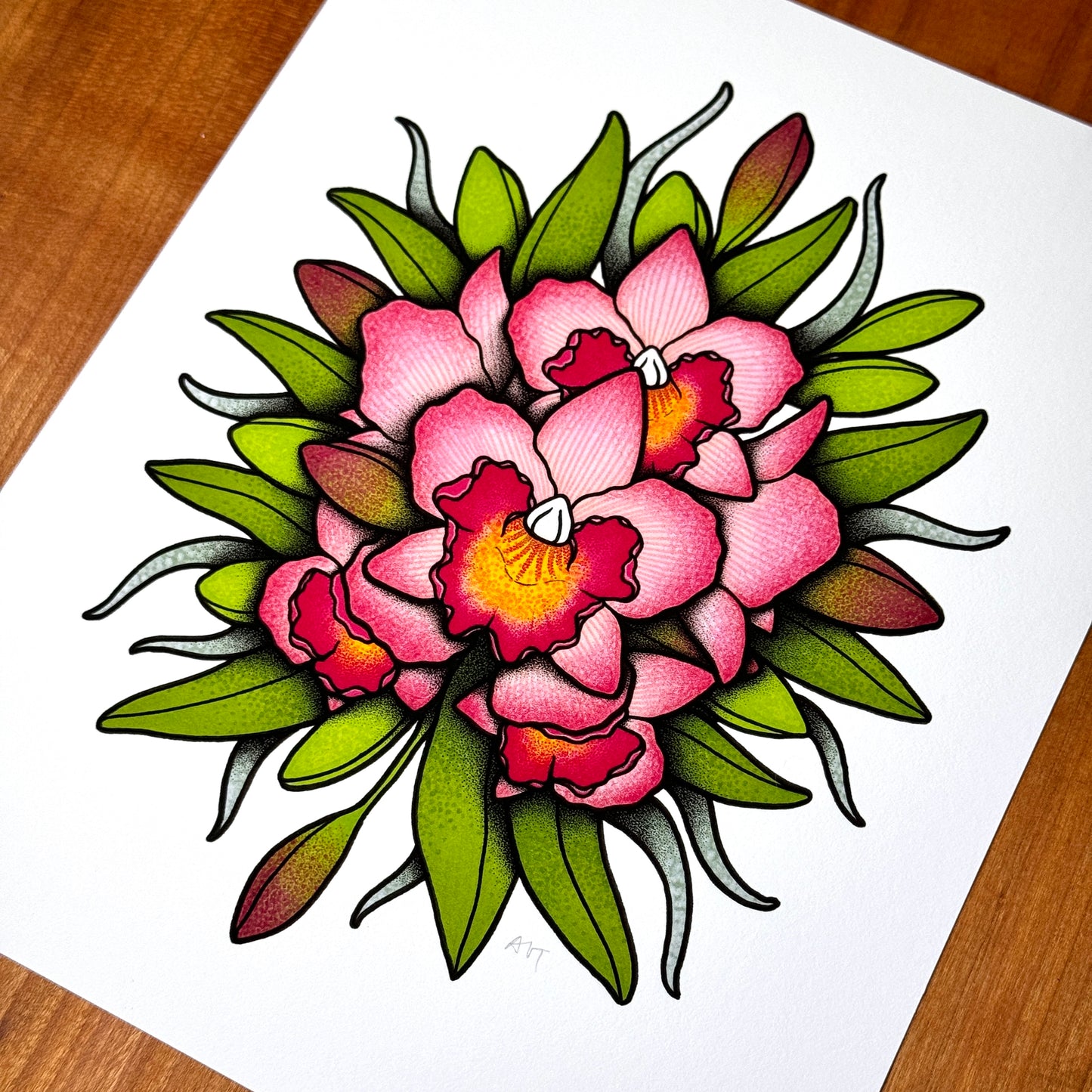 Cattleya Orchid - Print