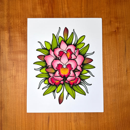 Cattleya Orchid - Print
