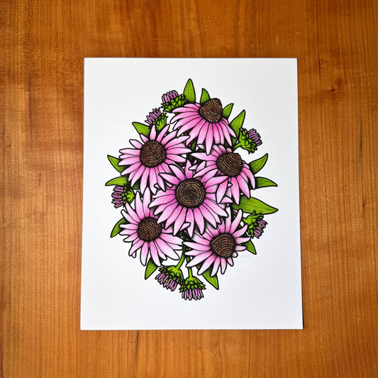 Coneflower - Print
